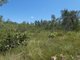 Photo - Lot 135 Capricornia Drive, Deepwater QLD 4674 - Image 17