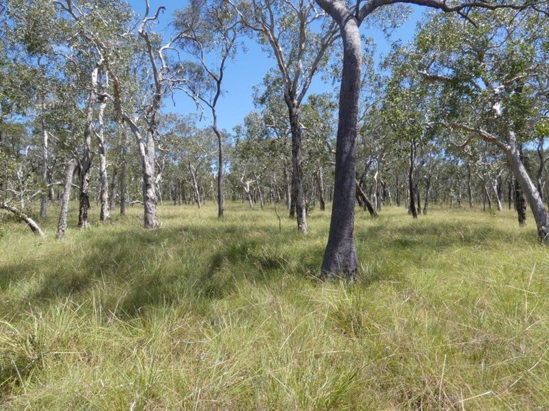 Photo - Lot 135 Capricornia Drive, Deepwater QLD 4674 - Image 18