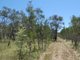 Photo - Lot 135 Capricornia Drive, Deepwater QLD 4674 - Image 19