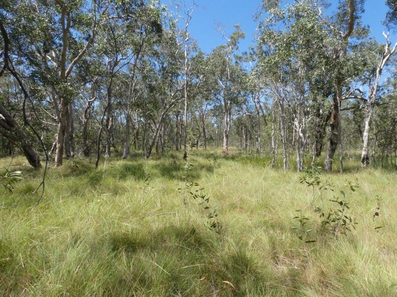 Photo - Lot 135 Capricornia Drive, Deepwater QLD 4674 - Image 21