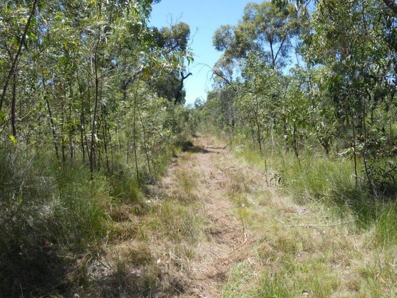 Photo - Lot 135 Capricornia Drive, Deepwater QLD 4674 - Image 22