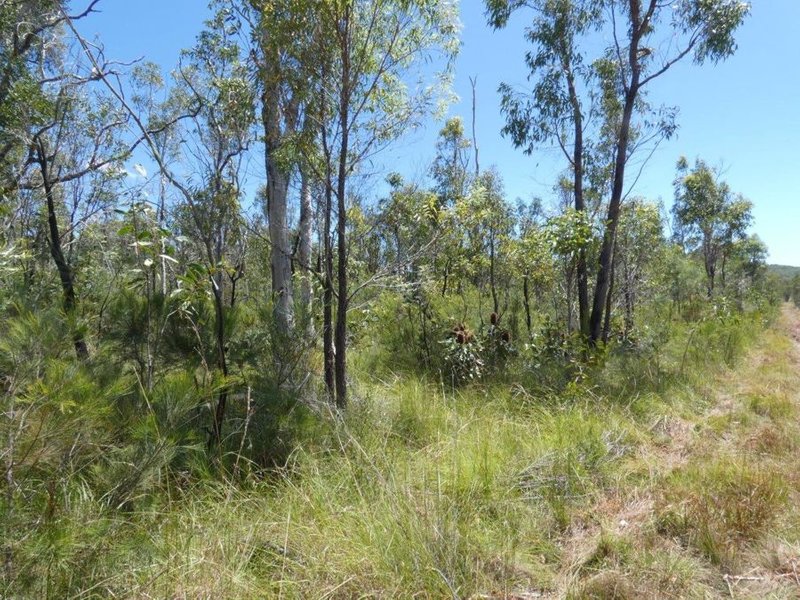 Photo - Lot 135 Capricornia Drive, Deepwater QLD 4674 - Image 23