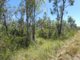 Photo - Lot 135 Capricornia Drive, Deepwater QLD 4674 - Image 23