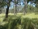 Photo - Lot 135 Capricornia Drive, Deepwater QLD 4674 - Image 24