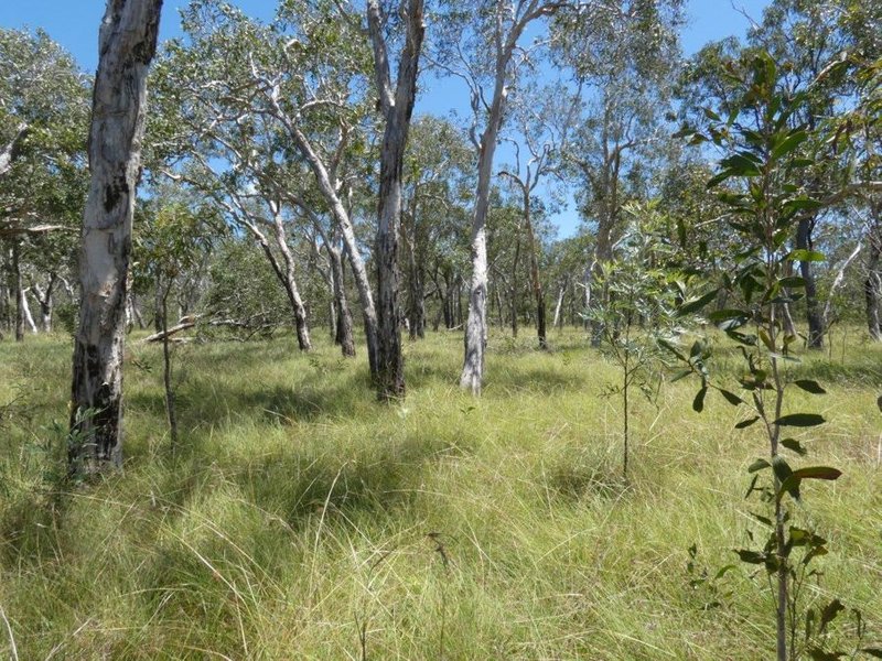 Photo - Lot 135 Capricornia Drive, Deepwater QLD 4674 - Image 25