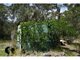 Photo - Lot 135 Inglewood Crescent, Tomerong NSW 2540 - Image 15