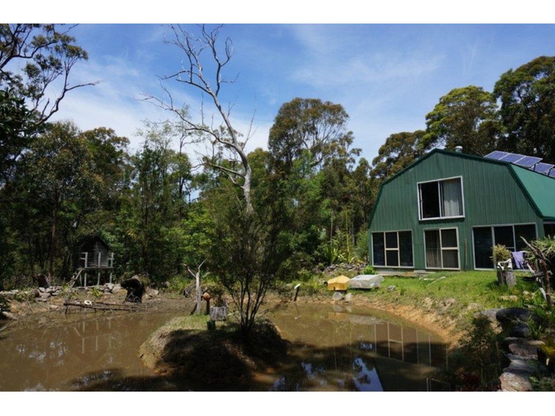 Photo - Lot 135 Inglewood Crescent, Tomerong NSW 2540 - Image 16