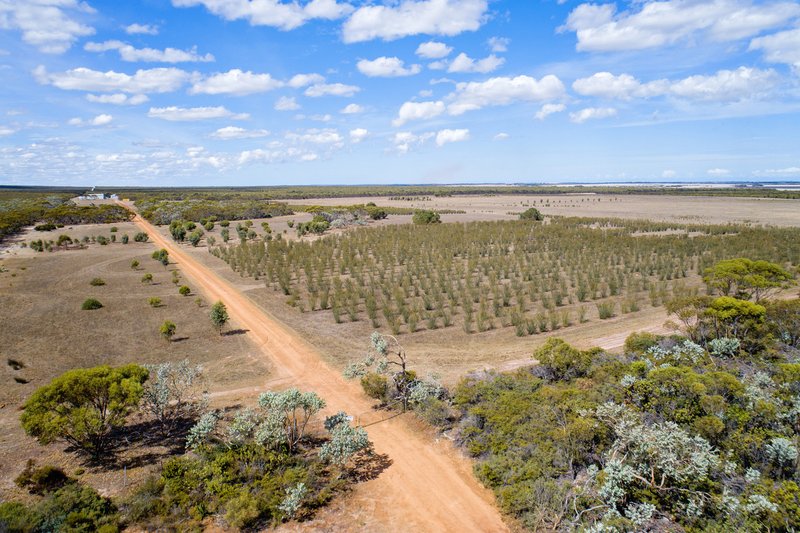 Photo - Lot 1355/Hopetoun-Ravensthorpe Road, Ravensthorpe WA 6346 - Image 4