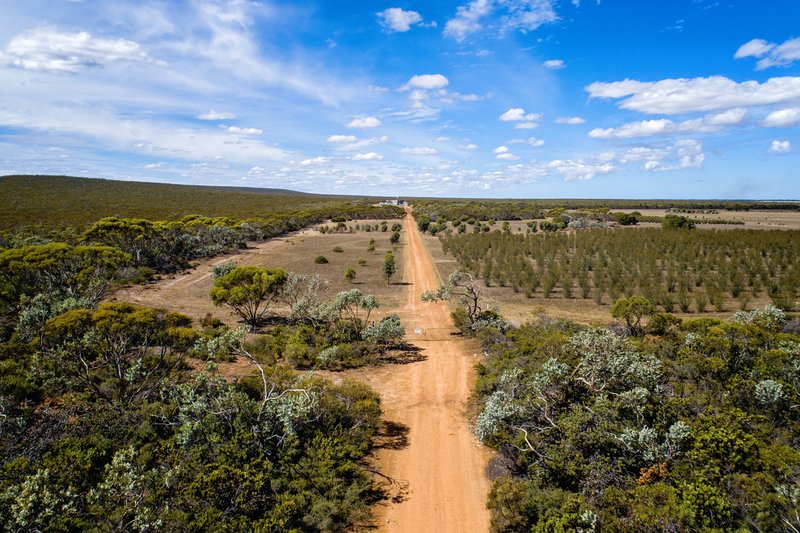 Photo - Lot 1355/Hopetoun-Ravensthorpe Road, Ravensthorpe WA 6346 - Image 8