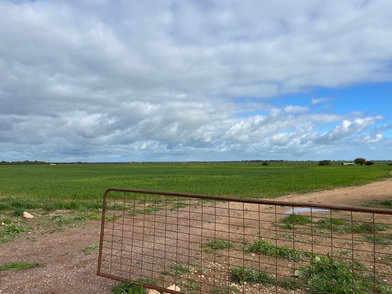 Photo - Lot 136 Copper Lane, Jericho SA 5554 - Image 2