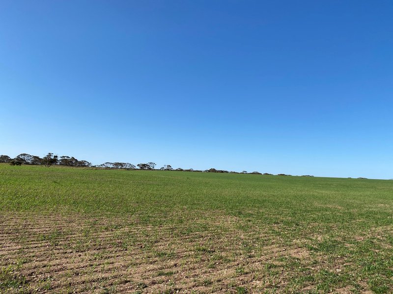 Photo - Lot 136 Lake Moodie Road, Sedan SA 5353 - Image 7