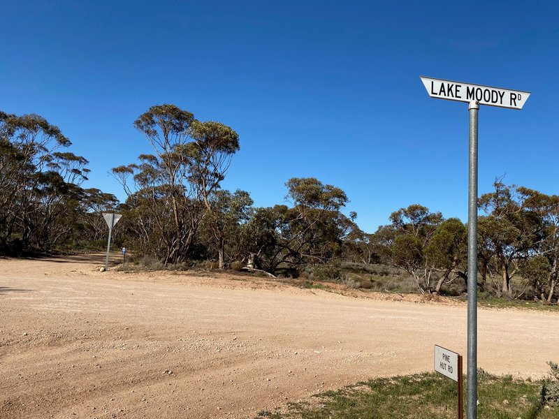 Photo - Lot 136 Lake Moodie Road, Sedan SA 5353 - Image 9