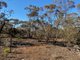 Photo - Lot 136 Lake Moodie Road, Sedan SA 5353 - Image 11