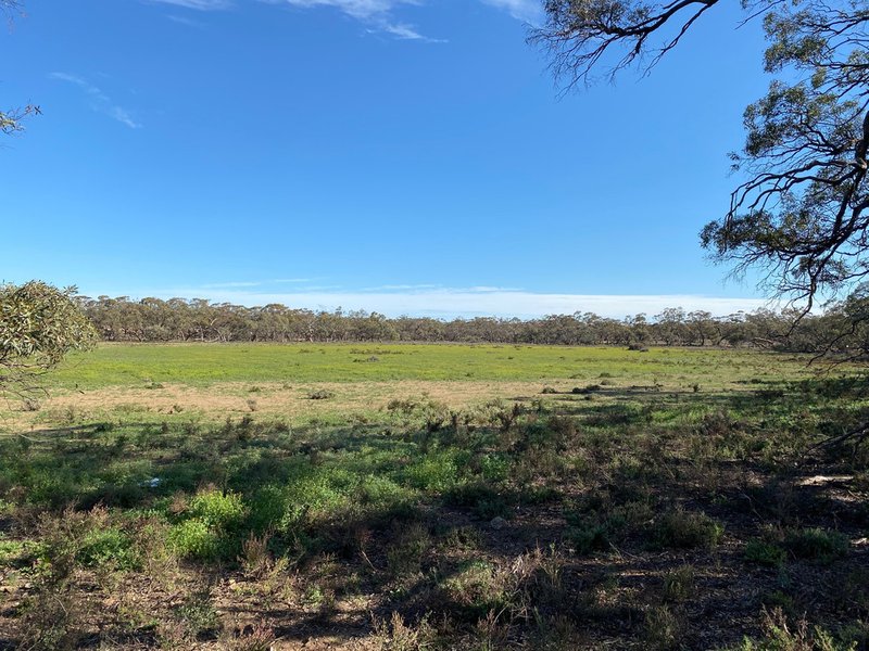 Photo - Lot 136 Lake Moodie Road, Sedan SA 5353 - Image 14