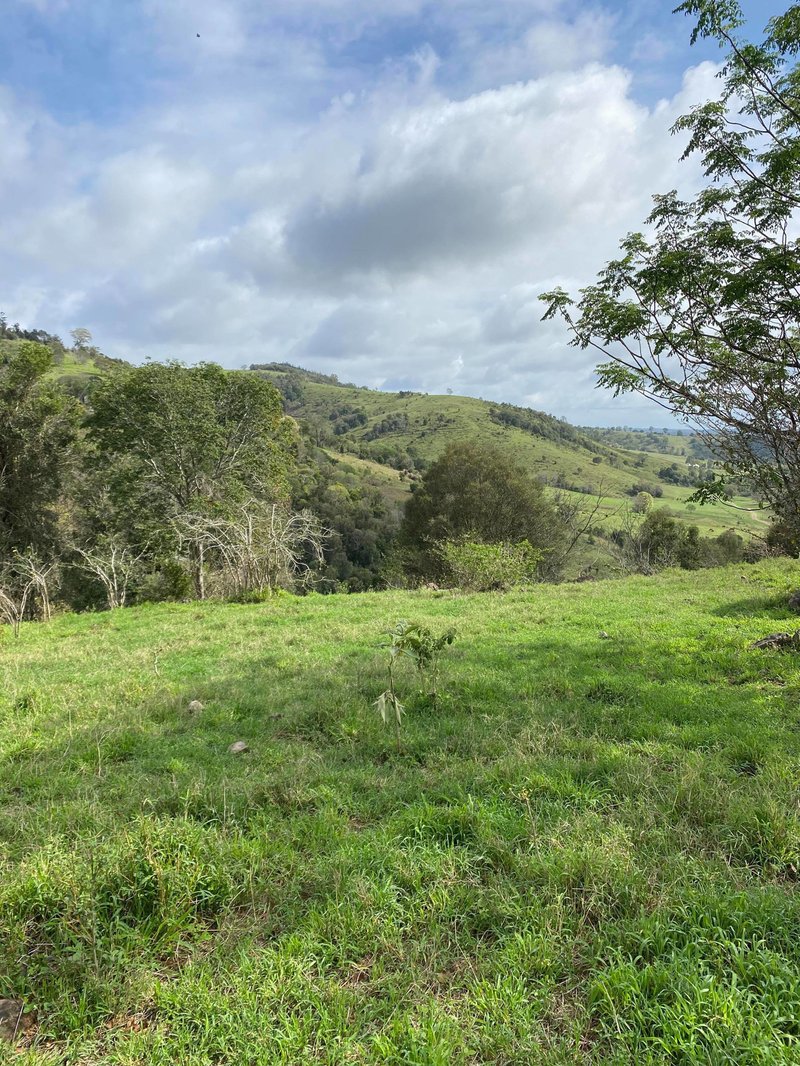 Photo - Lot 1364 120 Freshneys Road, Kanigan QLD 4570 - Image 4