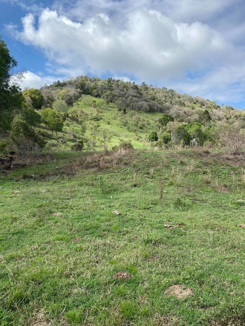 Photo - Lot 1364 120 Freshneys Road, Kanigan QLD 4570 - Image 5