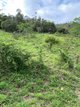 Photo - Lot 1364 120 Freshneys Road, Kanigan QLD 4570 - Image 14