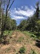 Photo - Lot 1364 120 Freshneys Road, Kanigan QLD 4570 - Image 16