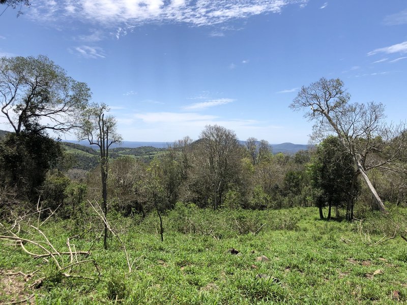 Photo - Lot 1364 120 Freshneys Road, Kanigan QLD 4570 - Image 18