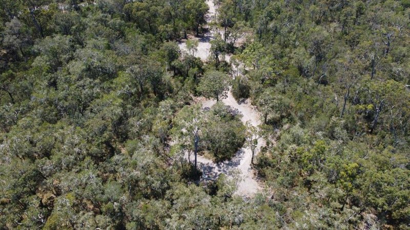 Photo - Lot 139 Capricornia Drive, Deepwater QLD 4674 - Image 11