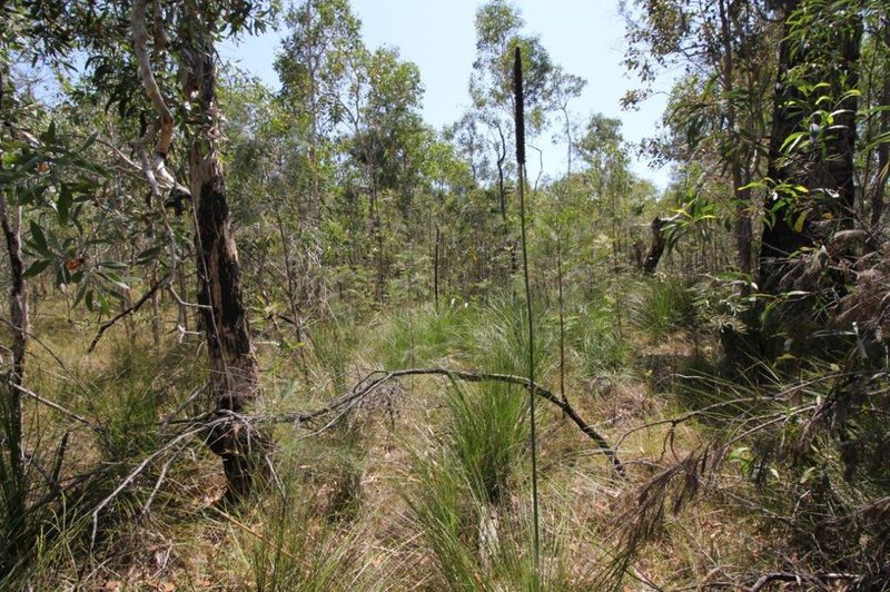 Photo - Lot 139 Capricornia Drive, Deepwater QLD 4674 - Image 26