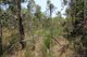 Photo - Lot 139 Capricornia Drive, Deepwater QLD 4674 - Image 26