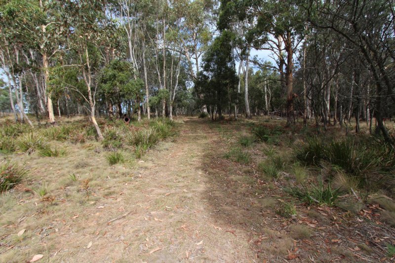 Lot 14, 1238 Sunny Corner Road, Sunny Corner NSW 2795