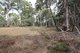 Photo - Lot 14, 1238 Sunny Corner Road, Sunny Corner NSW 2795 - Image 5