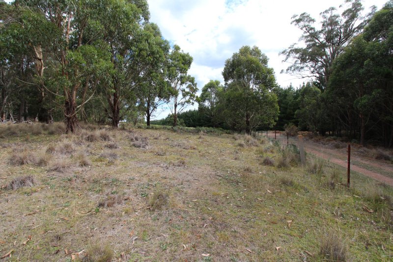 Photo - Lot 14, 1238 Sunny Corner Road, Sunny Corner NSW 2795 - Image 6