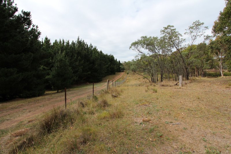 Photo - Lot 14, 1238 Sunny Corner Road, Sunny Corner NSW 2795 - Image 7