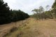 Photo - Lot 14, 1238 Sunny Corner Road, Sunny Corner NSW 2795 - Image 7