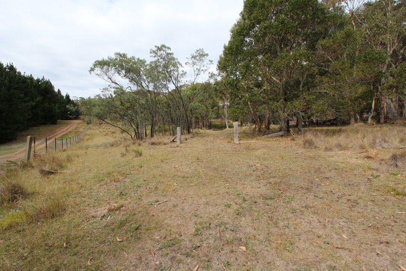 Photo - Lot 14, 1238 Sunny Corner Road, Sunny Corner NSW 2795 - Image 8