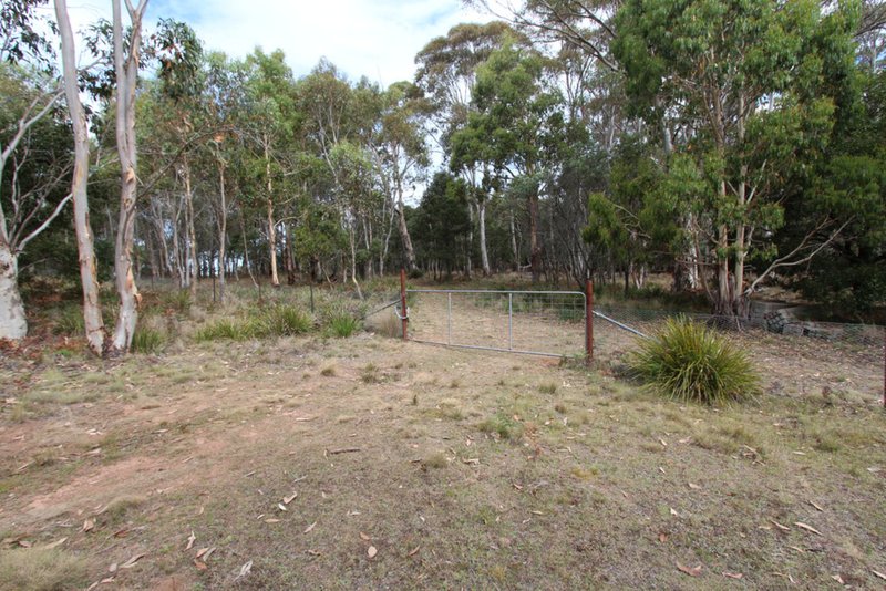 Photo - Lot 14, 1238 Sunny Corner Road, Sunny Corner NSW 2795 - Image 9