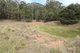 Photo - Lot 14, 1238 Sunny Corner Road, Sunny Corner NSW 2795 - Image 10