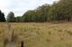 Photo - Lot 14, 1238 Sunny Corner Road, Sunny Corner NSW 2795 - Image 12