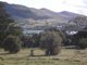 Photo - Lot 14 136 Penna Road, Midway Point TAS 7171 - Image 3