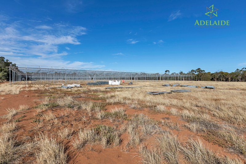 Photo - Lot 14 81 Argent Road, Penfield SA 5121 - Image 14