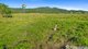 Photo - Lot 14 Kruckow Road, East Russell QLD 4861 - Image 2