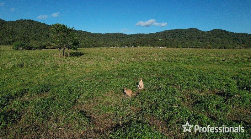 Photo - Lot 14 Kruckow Road, East Russell QLD 4861 - Image 20