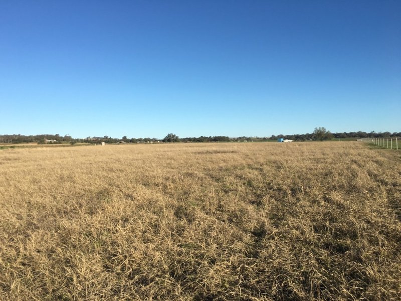 Photo - Lot 140 Oestreich Road, Westbrook QLD 4350 - Image 7