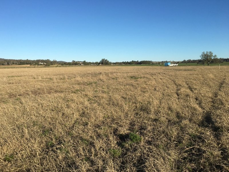 Photo - Lot 140 Oestreich Road, Westbrook QLD 4350 - Image 8