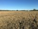 Photo - Lot 140 Oestreich Road, Westbrook QLD 4350 - Image 8