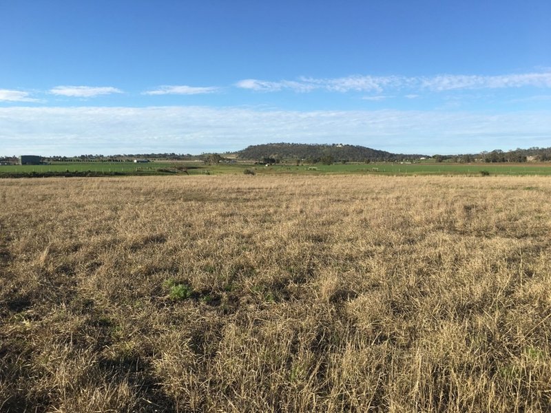 Photo - Lot 140 Oestreich Road, Westbrook QLD 4350 - Image 10