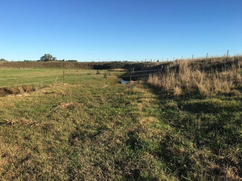 Photo - Lot 140 Oestreich Road, Westbrook QLD 4350 - Image 12