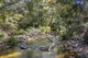 Photo - Lot 141, 381 Nellies Glen Road, Megalong NSW 2785 - Image 17