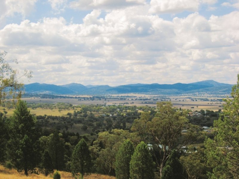 Photo - Lot 141 Grandview Place, Quirindi NSW 2343 - Image 2