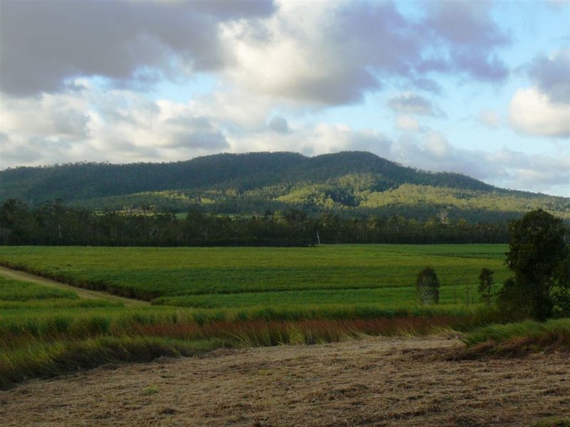 Lot 141 Mirani Mt Ossa Rd Road, Mirani QLD 4754