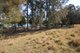 Photo - Lot 142 Rawdon Island Road, Rawdon Island NSW 2446 - Image 7