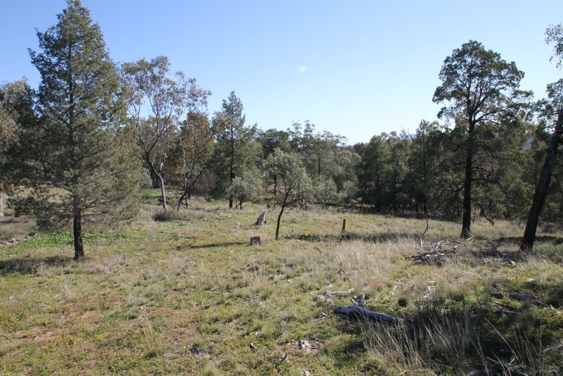 Photo - Lot 143 Grandview Place, Quirindi NSW 2343 - Image 2