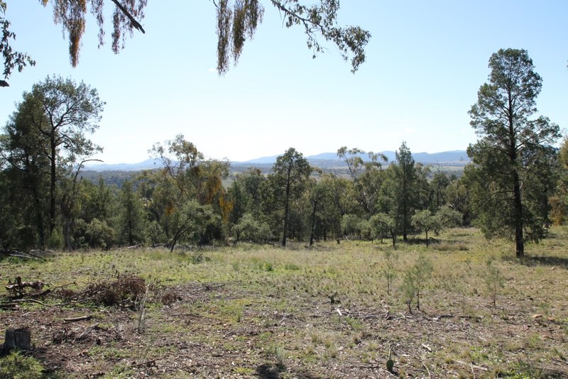 Photo - Lot 143 Grandview Place, Quirindi NSW 2343 - Image 3